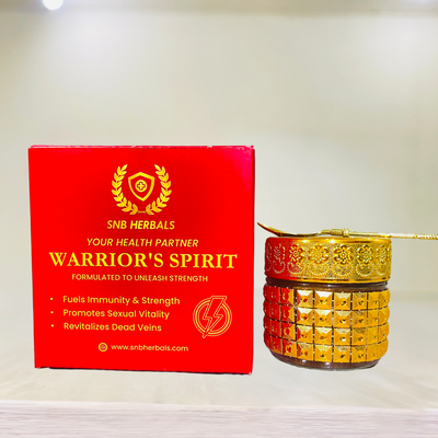 Warrior's Spirit